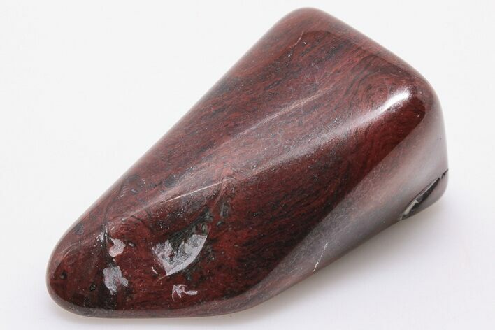 Polished Stromatolite (Collenia) - Minnesota #198275